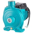 thumbnail image 1 of Bomba Centrífuga de Hierro Fundido IUSA 3/4 HP azul, 1 of 5