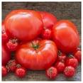 thumbnail image 2 of Everwilde Farms - 1/4 lb Beefsteak Heirloom Tomato Seeds - Gold Vault Bulk Seed Packet, 2 of 3