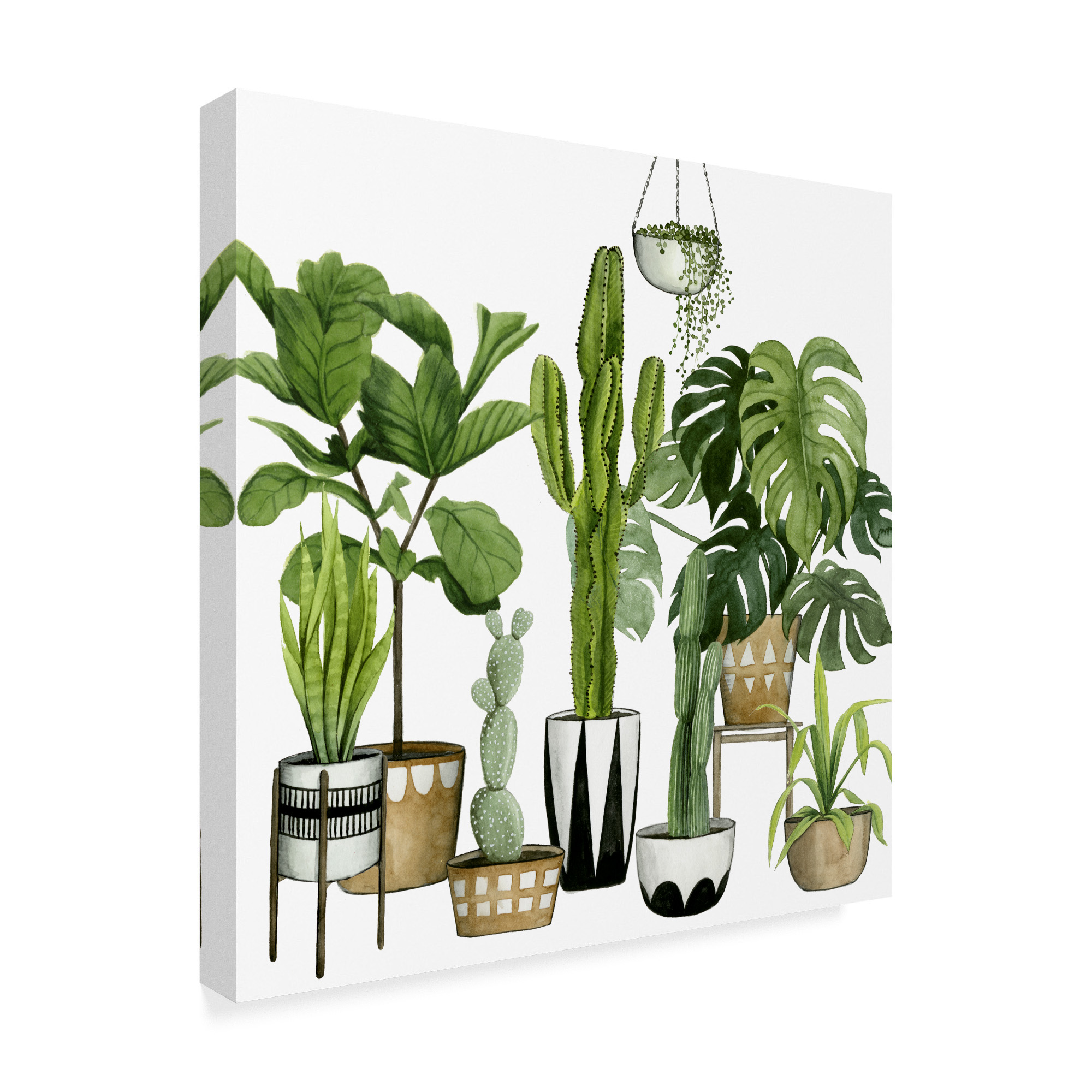 Trademark Fine Art 'Plant Haven I' Canvas Art by Grace Popp