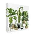 thumbnail image 2 of Trademark Fine Art 'Plant Haven I' Canvas Art by Grace Popp, 2 of 4