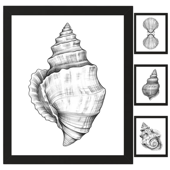 Seashell Bathroom Decor, Wall Art, Shell Beach Picture Set, 4pk, 8.5x11, TheNameStore