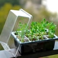 thumbnail image 2 of Charola de Germinación Redlemon con Tapa 12 Compartimentos Invernadero 10Pz, 2 of 7
