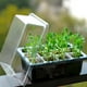 thumbnail image 2 of Charola de Germinación Redlemon con Tapa 12 Compartimentos Invernadero 10Pz, 2 of 7