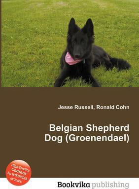 Belgian Shepherd Dog Groenendael Walmart Canada
