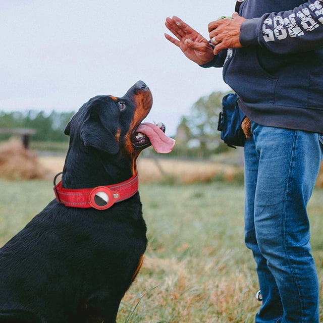 Pet Collars Product Title for Tracking Cover for Dog Positioning Training Nylon Pet Durable Accessory