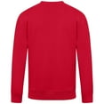 thumbnail image 3 of Men's Levelwear Red Washington Nationals Punch Out Pullover Sweatshirt, 3 of 3