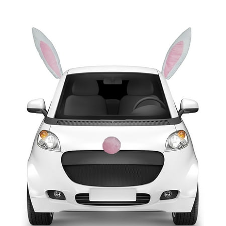 Easter Bunny Plush Car Character Kit, 3 Ct. | Party
