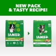 thumbnail image 4 of IAMS Proactive Health Minichunks Premium Dry Dog Food, Adult Dog Food Dry Recipe, 15 lb. Bag, 4 of 12