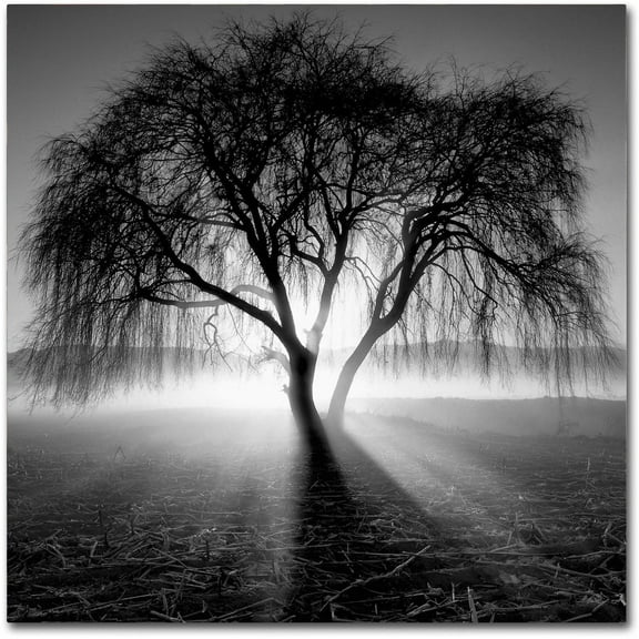 Trademark Fine Art Andy Westface Promise Canvas Wall Art - 35x35