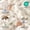 Cream White (50x60in), variant on Luxury Ultra Soft Faux Throw Blanket 50x60 Inches Fplush Thick Bubble For Couch And Sofa Cozy Lola Fuzzy 1000 Gsm (cream White)