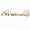CT059-Gold, variant on Custom Car Stickers, Custom Stainless Steel Falling Leaves Car Stickers, Personalized Name & Text Emblem, Waterproof Metal Decal for Cars, Vans, Boats, Bicycles, Refrigerators, Walls & Doors Etc