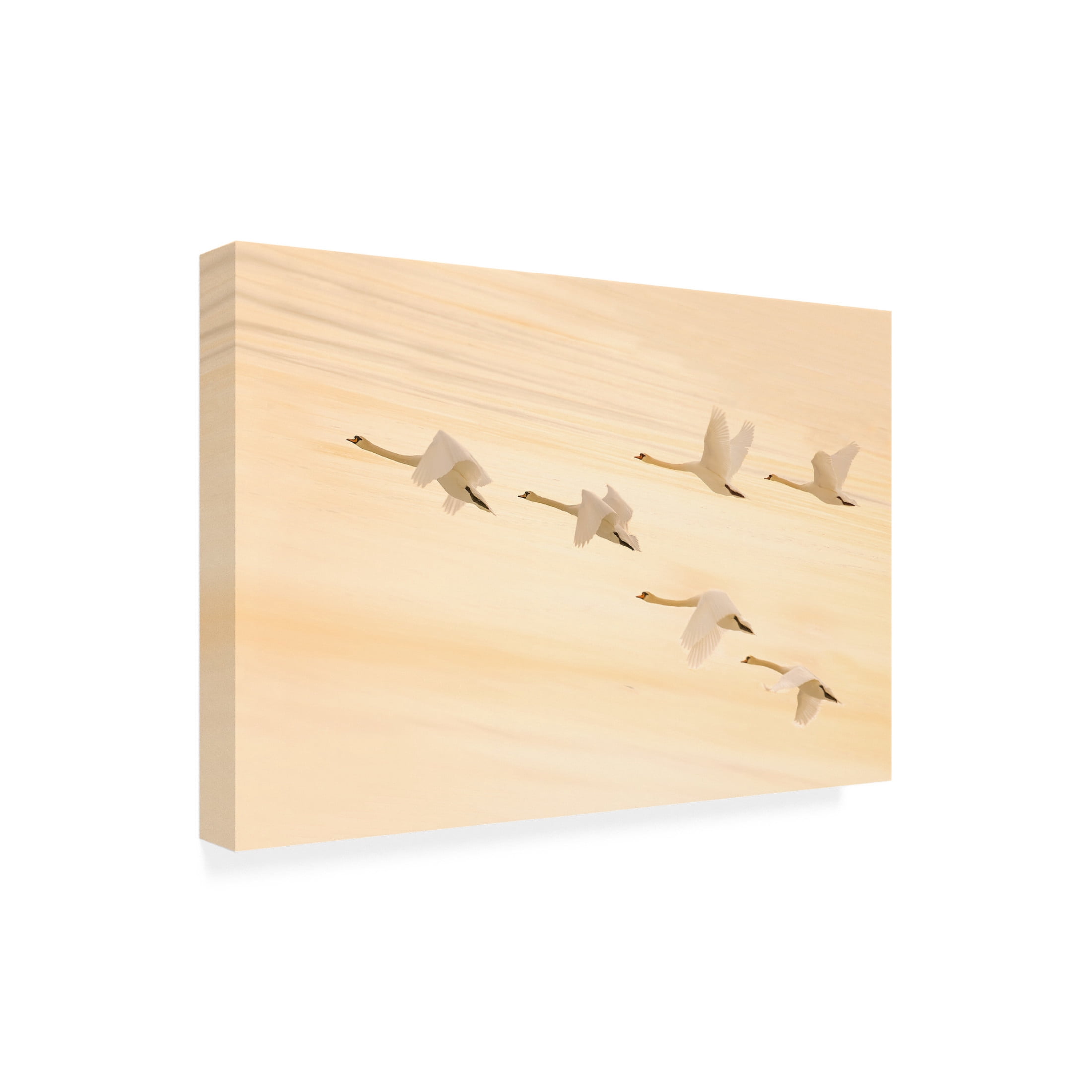 Trademark Fine Art Feng Qin Group Dancing Canvas Wall Art