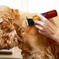 thumbnail image 2 of Electric Pet Clipper with a 30-Tooth Blade and a 35-Tooth Blade Frame 36w 2000-6600rpm Quiet & Safe Dual Blades 9.4ft Cord Ideal for Many Animals Trimming Tufted Carpets, 2 of 19