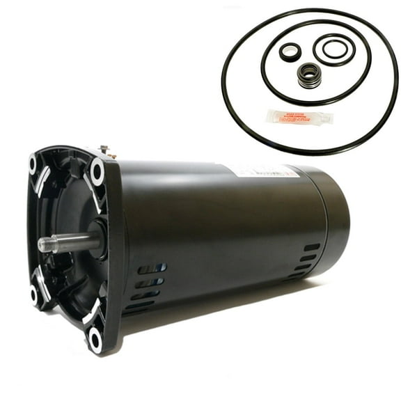 Puri Tech Sta-Rite Max-E-Glas II 1HP Replacement Motor Kit, AO Smith SQ1102 w/GO-KIT-38