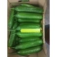 thumbnail image 3 of GSDWIUEW Emelya Cucumber Seeds – Self-Pollinating, Vegetable for Planting, 3 of 6