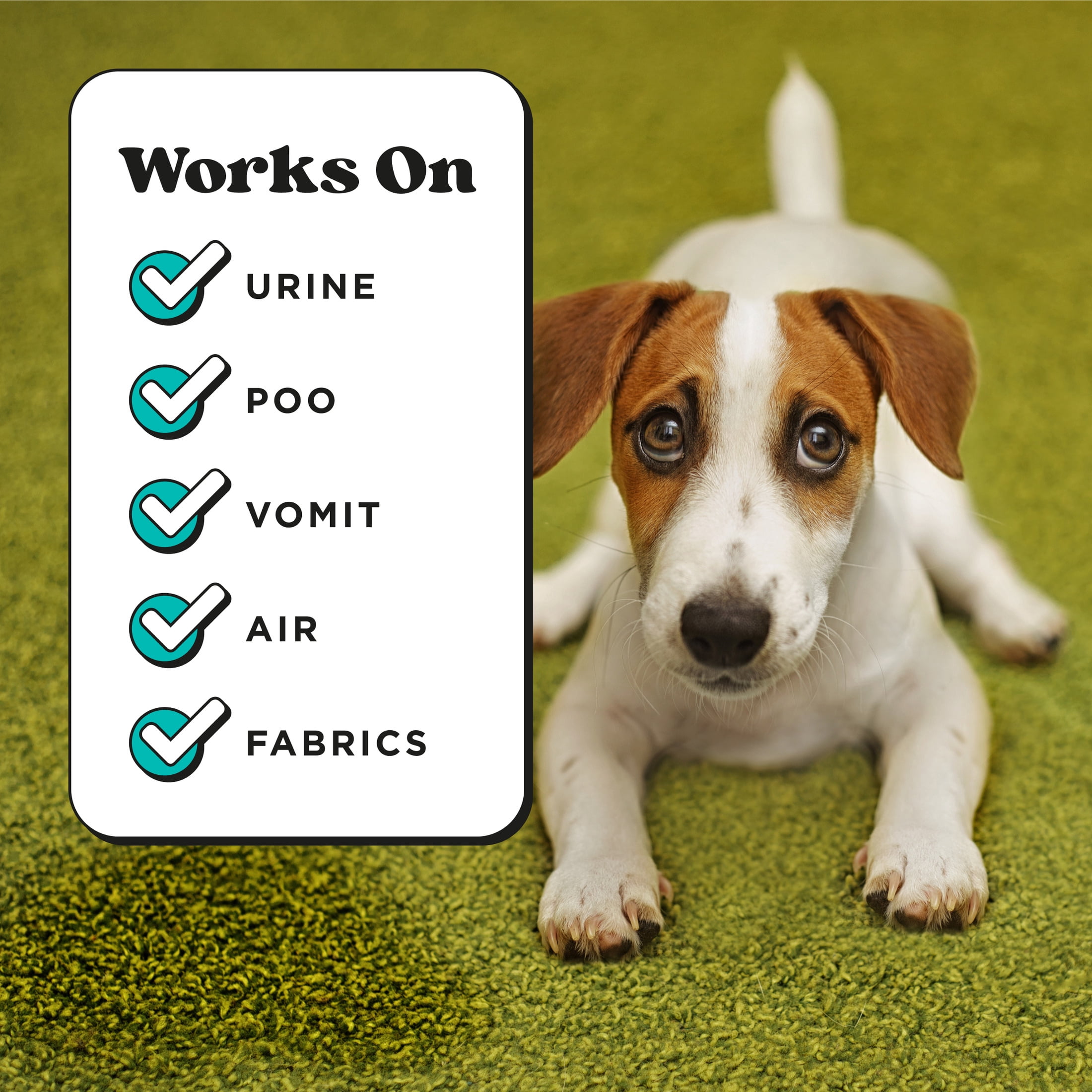 (3 pack) Pet~Pourri Pawsitively Fresh Pet & Home Deodorizer Spray, Jasmine + Fresh Air + Pear, 16oz