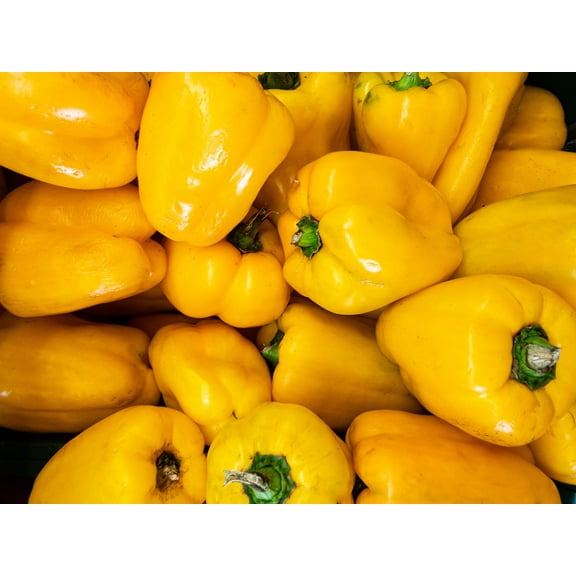 50 YELLOW Cheese PIMENTO PEPPER Capsicum Annuum Vegetable Seeds