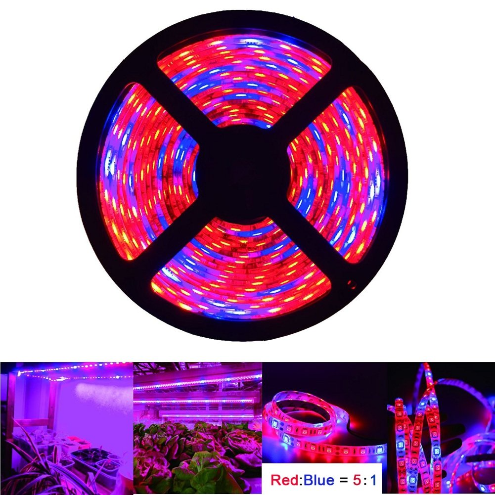 SMD 5050 LED Strip Grow Light Lamp Full Spectrum For Plant Veg DC12V 3:1/4:1/5:1 