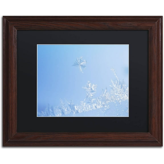 Trademark Fine Art "Window Frost" Canvas Art by Kurt Shaffer Black Mat, Wood Frame