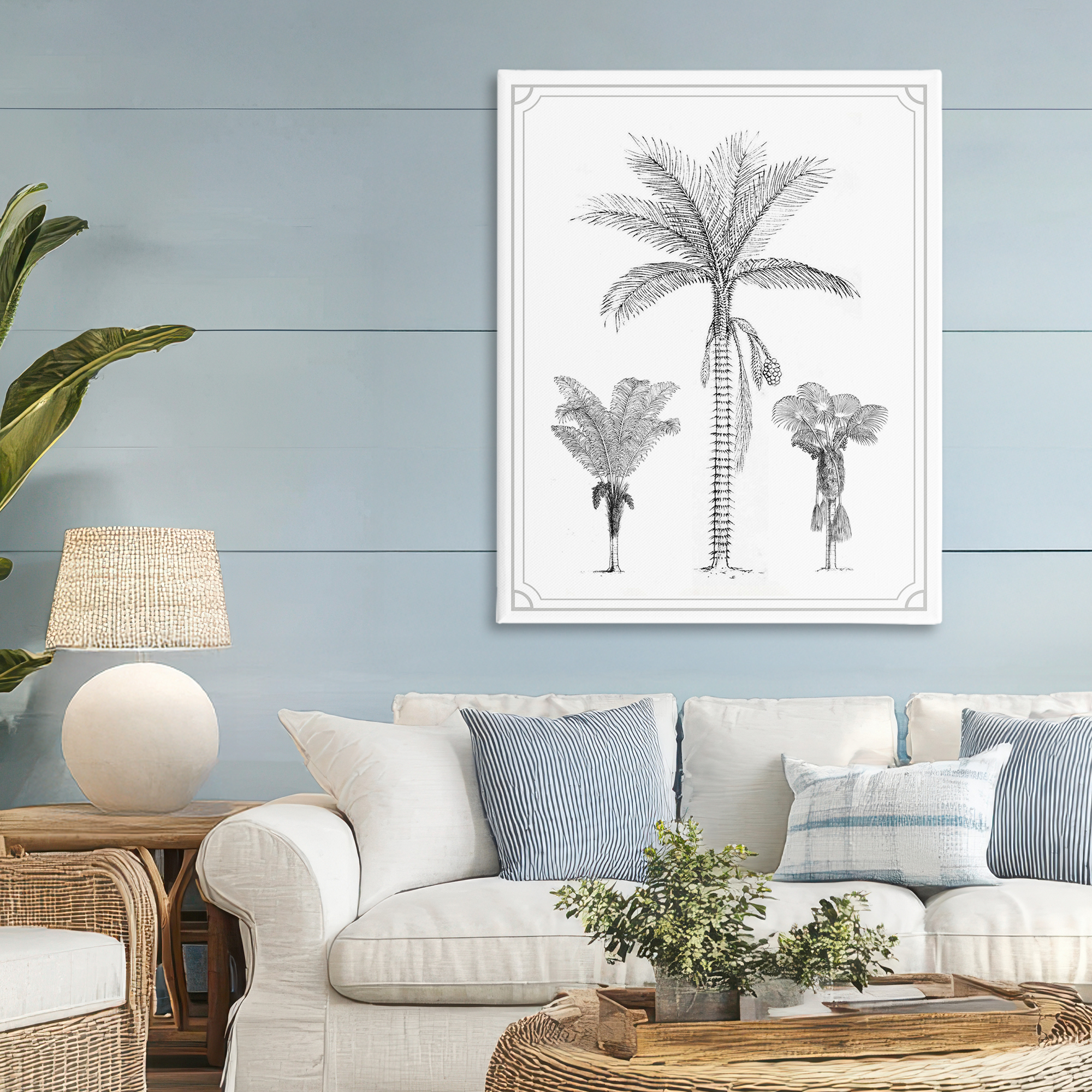 Palm Tree Trio Sketches Canvas Wall Art, design by Lettered and Lined