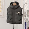 thumbnail image 3 of Baby Boys Girls Winter Hooded Puffer Vest Sleeveless Jacket Zip-up Lined Padded Vest Waistcoat Outwear Fall Winter Outfit Clothes for Toddler Kids Size 2-3, 3 of 5