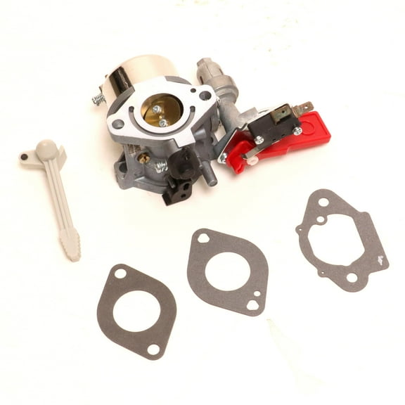 Briggs & Stratton Carburetor | 84003204