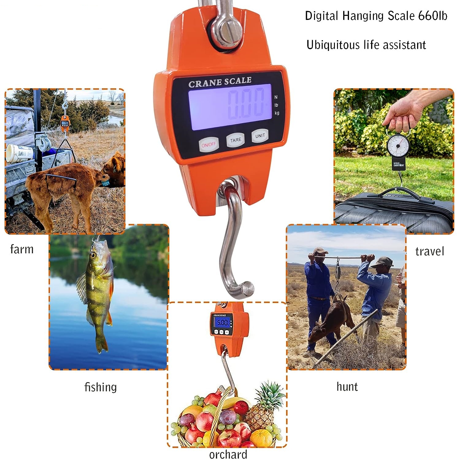 GWAZA Hanging Digital Farm Scale For Seed Drill Calibration - 50kg Capacity
