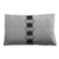 thumbnail image 1 of Ahgly Company Indoor Rectangular Contemporary Lumbar Throw Pillow, 13 inch by 19 inch, 1 of 5
