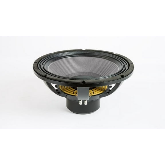 Eighteen Sound 18NLW4500.8 18-inch Extended Low Frequency High Power Loudspeaker 1600 Watts RMS 3600 Watts Peak Pro Audio Component Speaker Driver for Motorcycle Car Audio