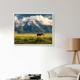 QFMY Bison Mountains Field White Edge Decorative Painting 16x12in