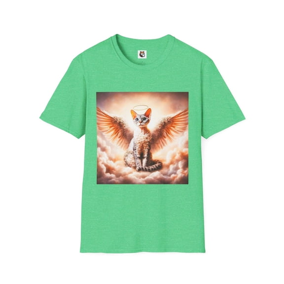 Devon Rex Domestic Cat