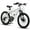 White, variant on Raistyw 20 inch Mountain Bike Bicycle, Shimano 21 Speed Front Suspension Bicycle with V-Brake, Carbon Steel Bike for Outdoor, Pink