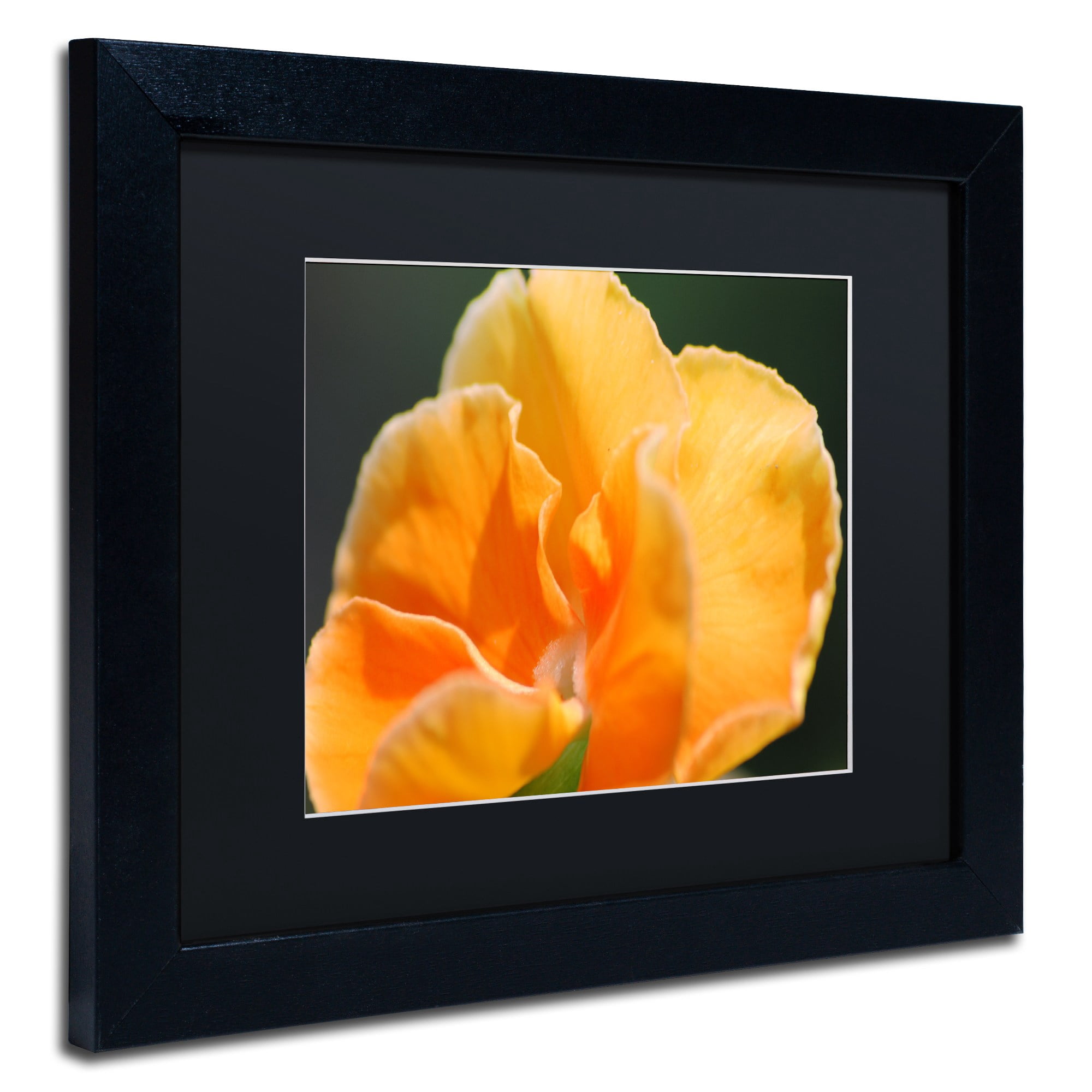 Trademark Fine Art "Simple Compassion" Canvas Art by Monica Mize, Black Matte, Black Frame