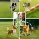 thumbnail image 4 of Set de silbatos para perros Ami's Delight, 2 unidades, ajustables por ultrasonidos, 4 of 7