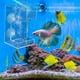 thumbnail image 4 of Comedero para peces loro: dispensador flotante de alimento para peces con anillo de alimentación suspendido, 4 of 6