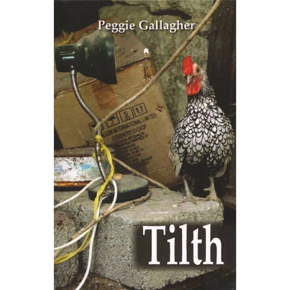 Tilth (Paperback)