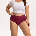 thumbnail image 2 of INNERSY Women's Plus Size XL-5XL Cotton Underwear High Waisted Lace Briefs 5 Pack(3XL,Retro), 2 of 7