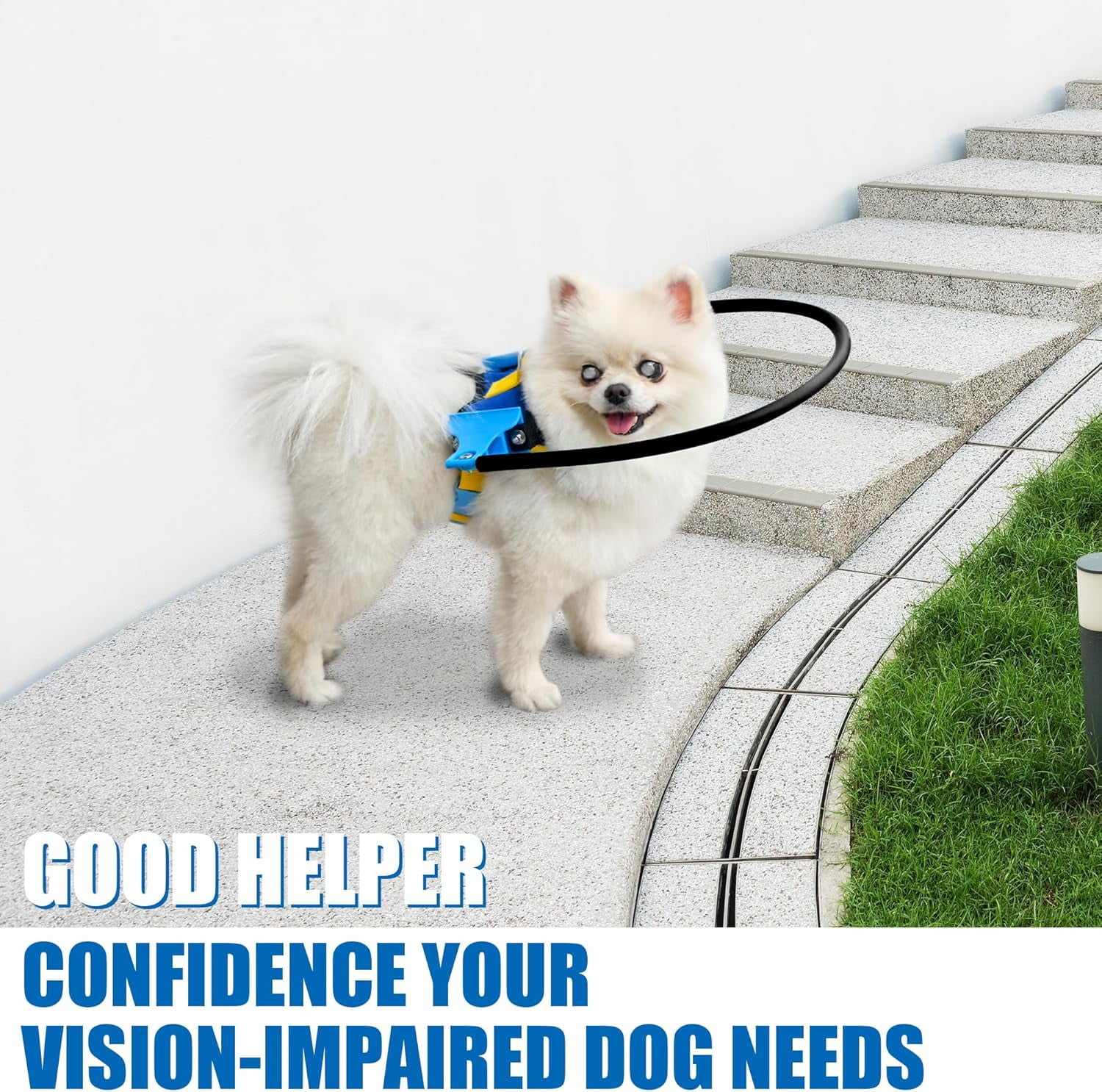 LetPetRun Blind Dog Halo Harness, Protective Confidence Building Harness for Visually Impaired Dogs, Lightweight & Safe,XXS