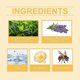 thumbnail image 3 of 3pcs Bee-Venom Cream Not Irritate Skin Quick Acting Cream for Women Men, 3 of 5