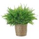 thumbnail image 1 of 12PCS Artificial Fern Stem Green Plants Long Lasting Easy to Care Fake Plants for Wall House Room Patio Decor, 1 of 5