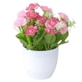 thumbnail image 2 of Gwong Decoración hogareña 1 Set Artificial Potted Plant LifeLike Decorative Plastic Shoe Rose Table Simulation Bonsai para Restaurant Home Gwong 21062160, 2 of 6