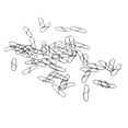 thumbnail image 4 of 50pcs Eslabones Giratorios Acero Inoxidable Ganchos Señuelo Accesorios Conectores Pesca, 4 of 6
