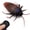 Cockroach, variant on Tipmant RC Praying Mantis Toy IR Remote Control Animal Realistic Insect Electric Car Vehicle Pet Cat Dog Teaser Toy Kids Birthday Gifts Christmas Halloween