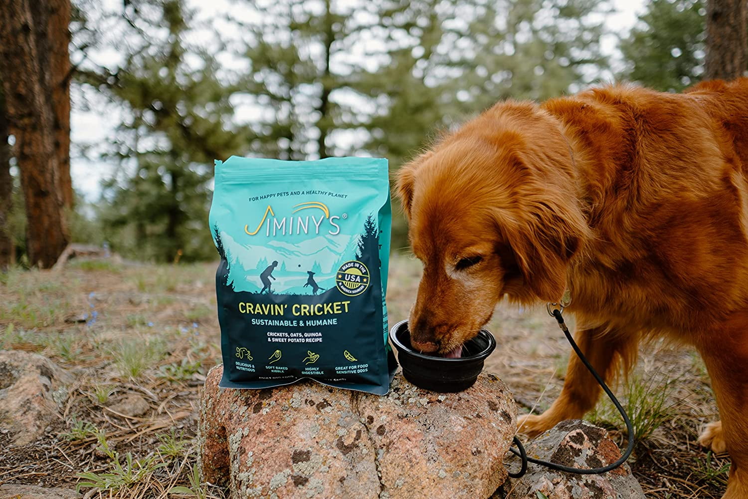 Cravin' Cricket - Crickets, Sweet Potato, & Quinoa 10 lb