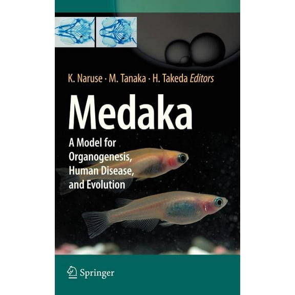 Medaka: A Model for Organogenesis, Human Disease, and Evolution, (Hardcover)
