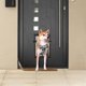 thumbnail image 5 of Yescom Pet Door Dog Doggie Flap Mount Secure Lockable Large Frame Exterior Cat Entry XL Yescom Modern, 5 of 10