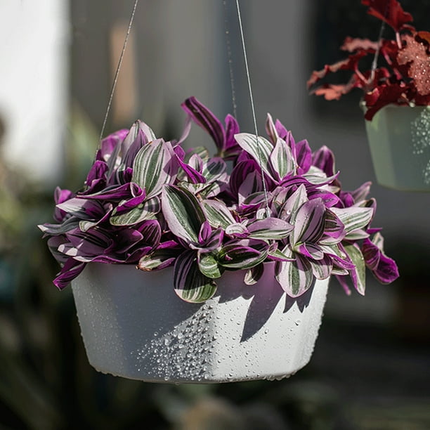 Hanging Plant Indoor Planters Art Decor Modern Wall And Ceiling Planter Flower Pot Hold Planters Hanger For Home Decor
