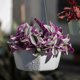 thumbnail image 1 of Hanging Plant Indoor Planters Art Decor Modern Wall And Ceiling Planter Flower Pot Hold Planters Hanger For Home Decor, 1 of 7