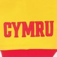 thumbnail image 3 of Wales Cymru Boys Contrast Sleeves Polo Shirt, 3 of 4