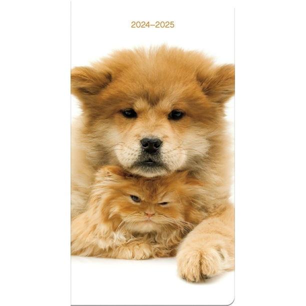 Trends International 20242025 Buddies Pocket Planner